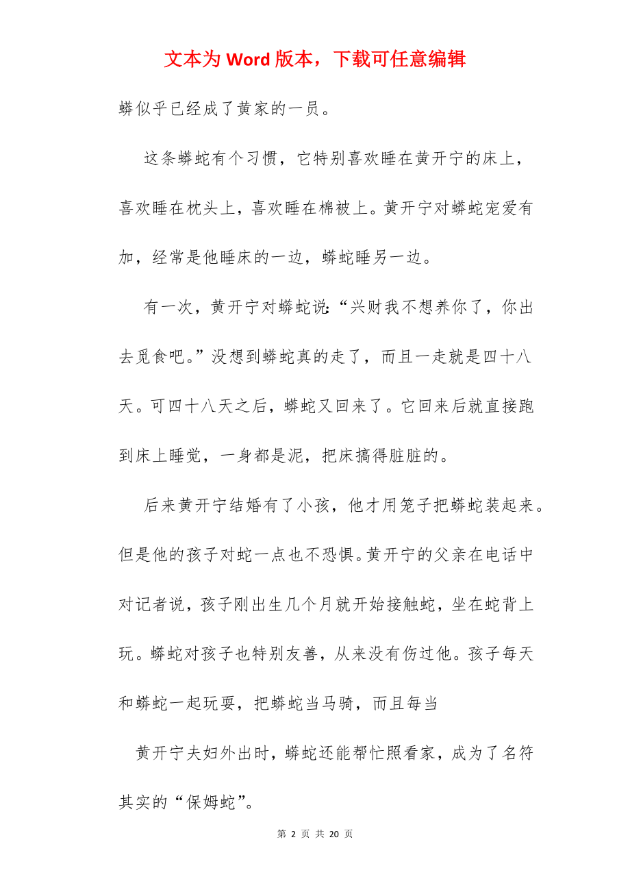 人与动物的故事.docx_第2页