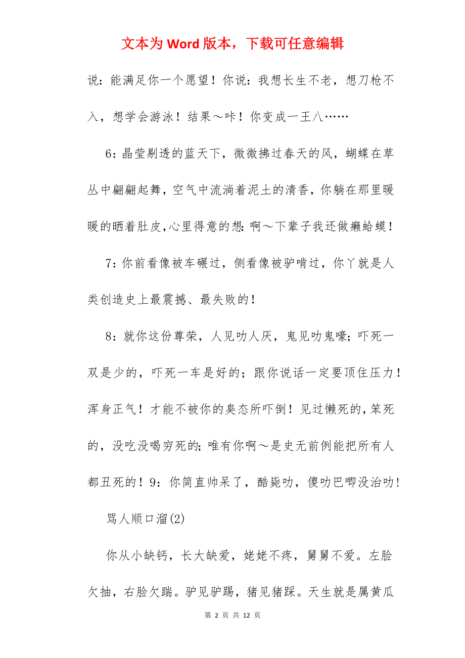 经典骂人顺口溜大全.docx_第2页