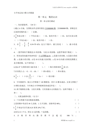 数学小升初专项训练 小升初数学总复习数与代数篇(有答案）.doc