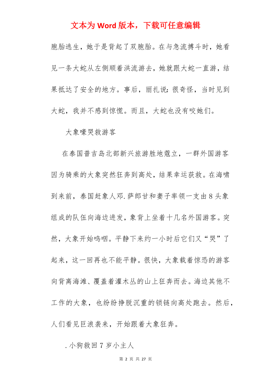 人与动物感情的故事.docx_第2页