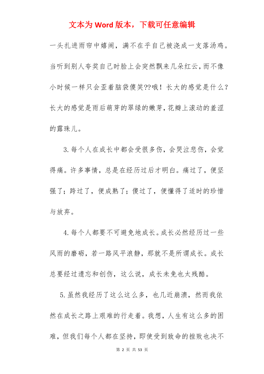 关于陪伴的唯美句子.docx_第2页