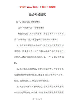 给公司提建议.docx