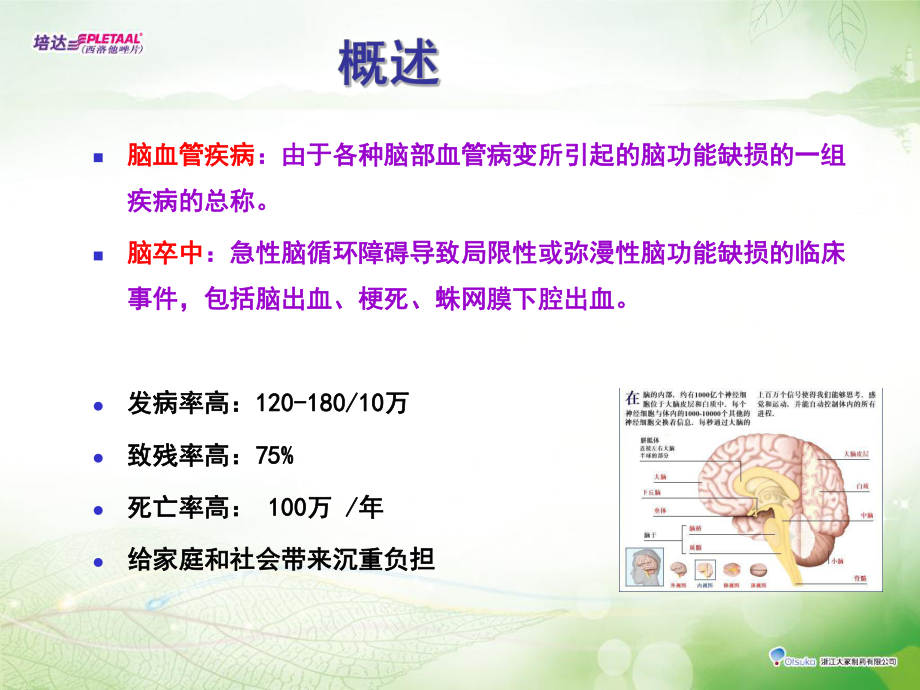 脑血管疾病知识ppt课件.ppt_第2页