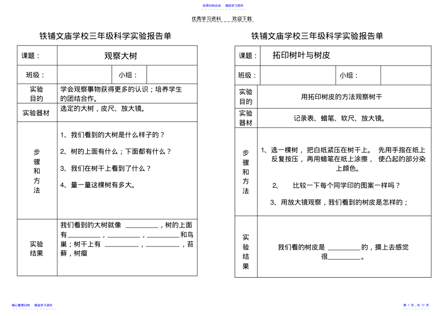 2022年三年级上册实验报告册 .pdf_第1页