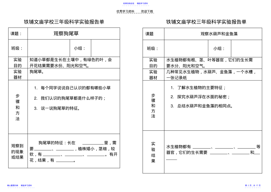 2022年三年级上册实验报告册 .pdf_第2页