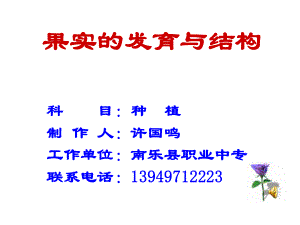 果实的发育与结构》ppt课件.ppt