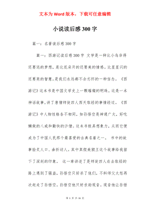 小说读后感300字.docx