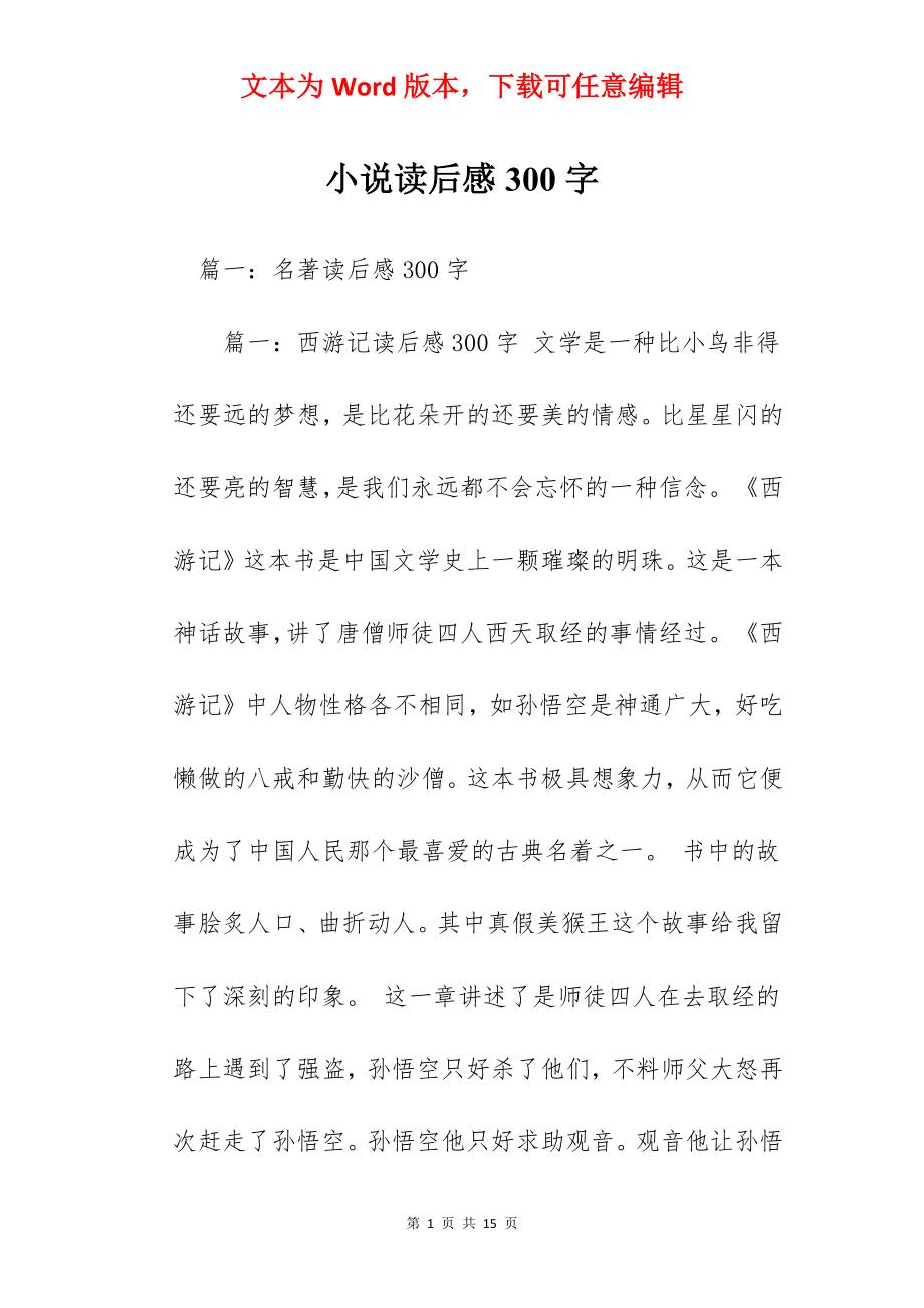 小说读后感300字.docx_第1页