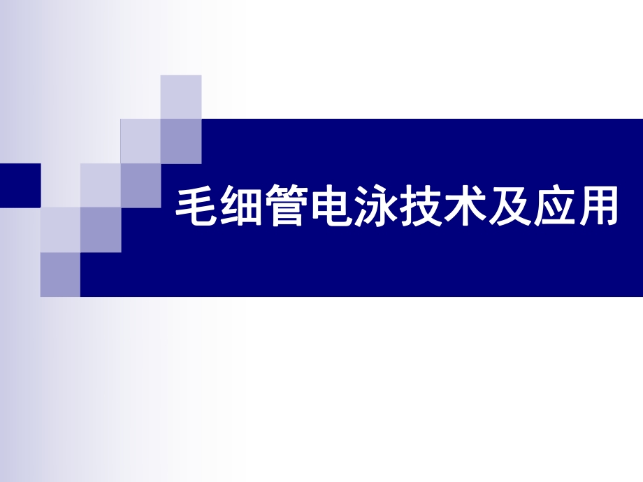 毛细管电泳技术及应用ppt课件.ppt_第1页