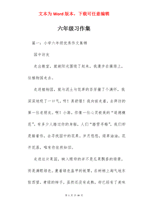 六年级习作集.docx