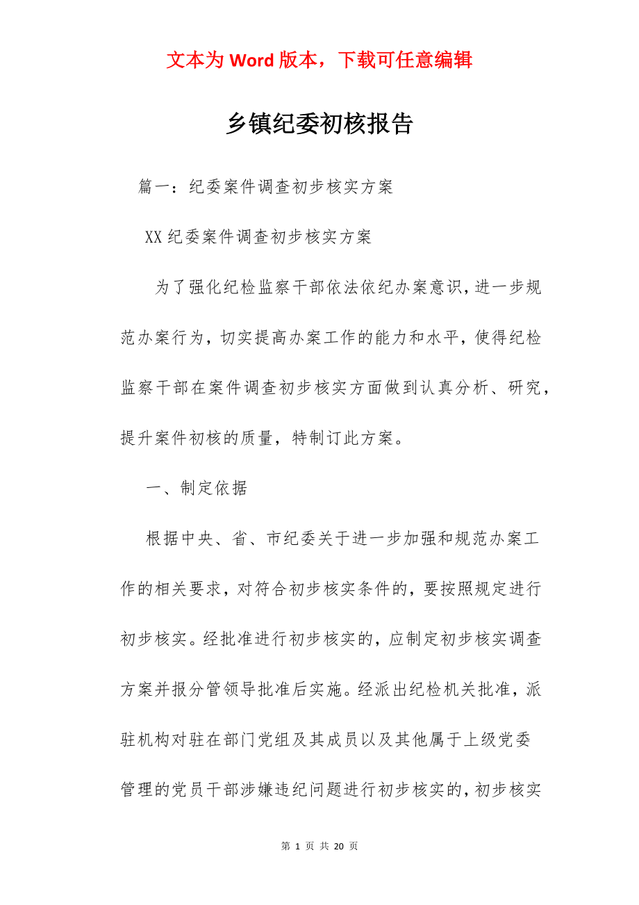 乡镇纪委初核报告.docx_第1页