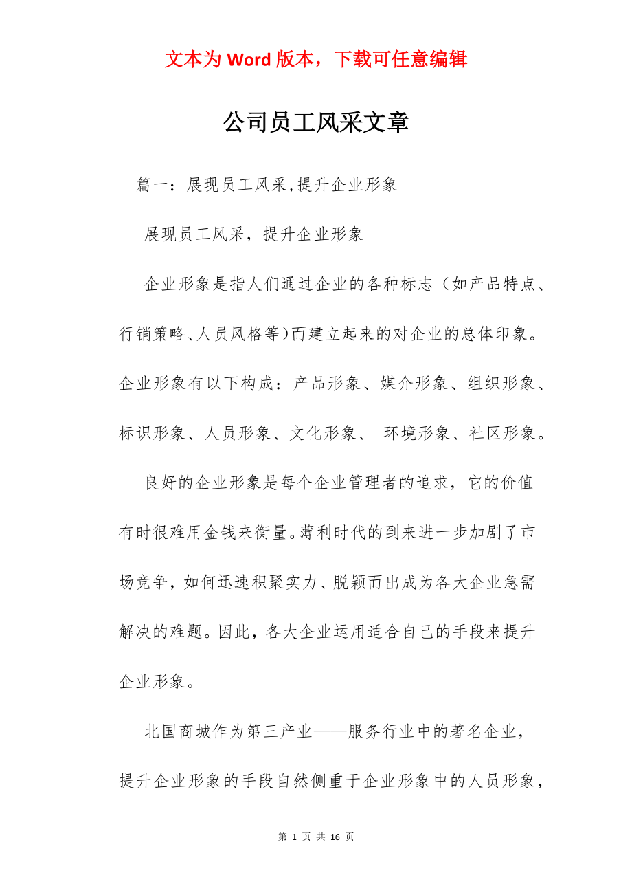 公司员工风采文章.docx_第1页