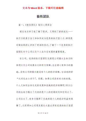 狼性团队.docx