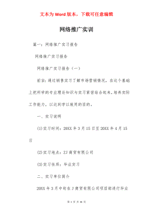 网络推广实训.docx