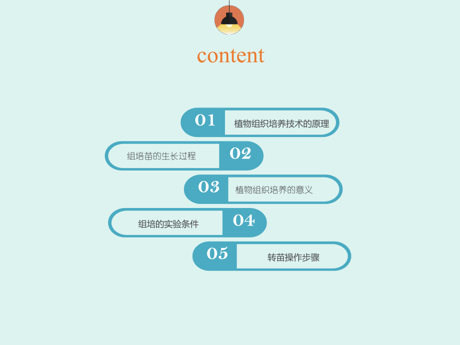 植物组织培养ppt课件.pptx_第2页