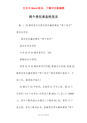 两个责任表态性发言.docx