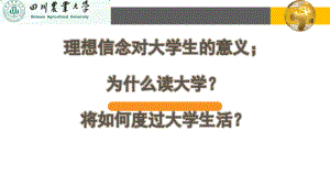 理想信念对大学生的意义ppt课件.pptx