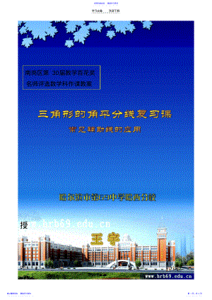 2022年三角形的角平分线教案 .pdf