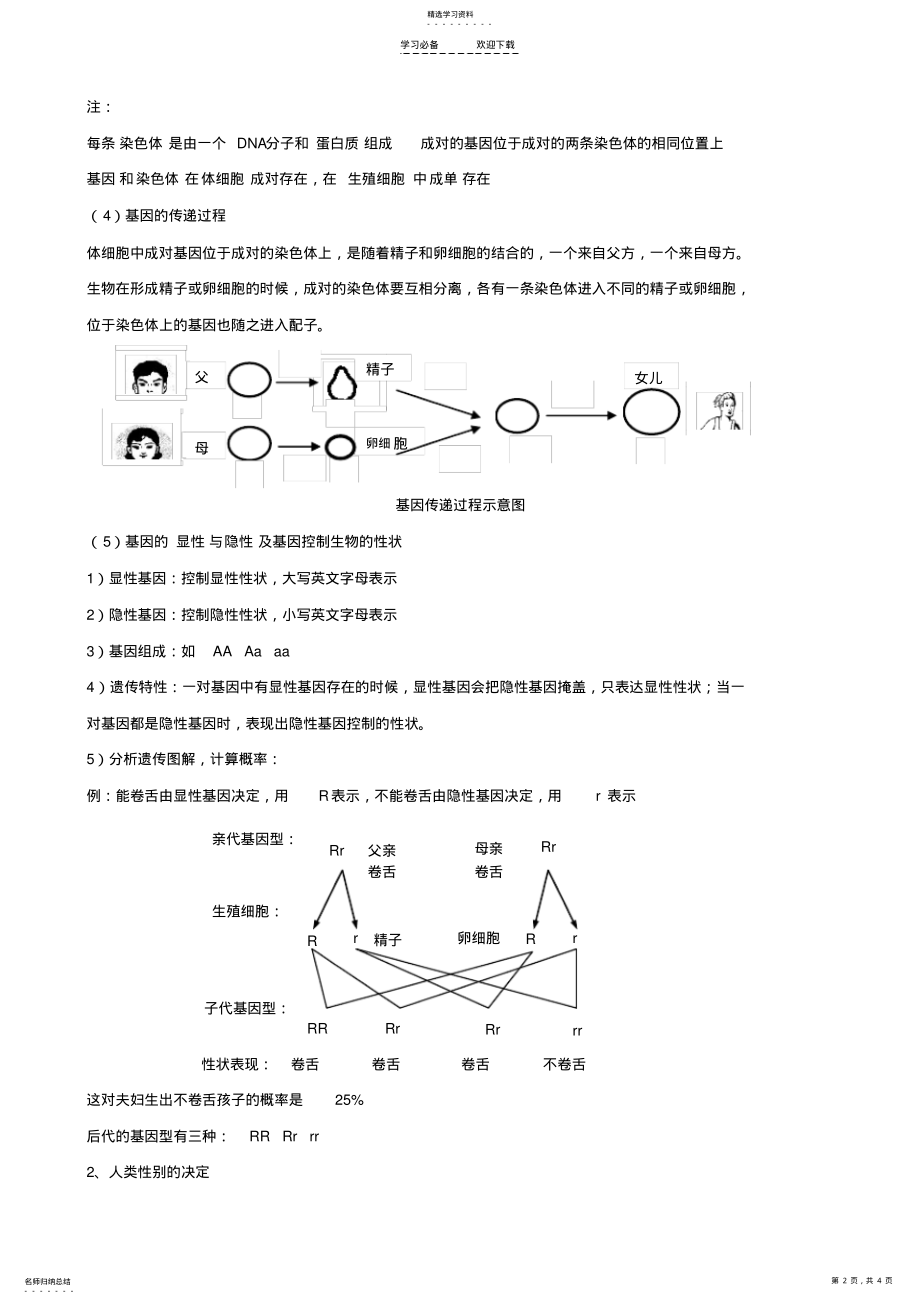 2022年中考生物专题九生物的遗传变异和进化 .pdf_第2页