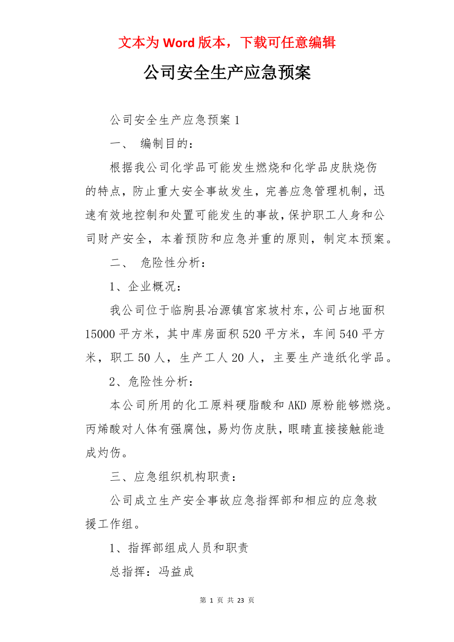 公司安全生产应急预案.docx_第1页