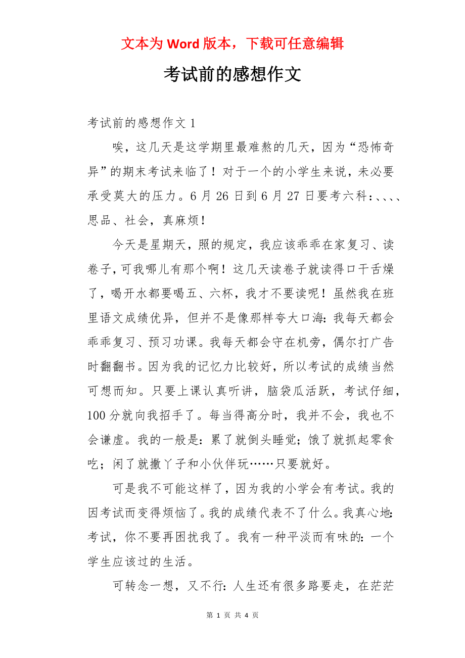 考试前的感想作文.docx_第1页