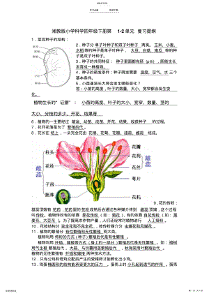 2022年湘教版小学科学四年级下册复习提纲 .pdf