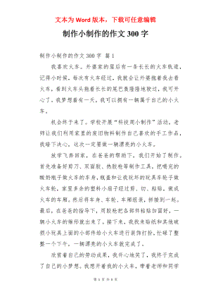 制作小制作的作文300字.docx