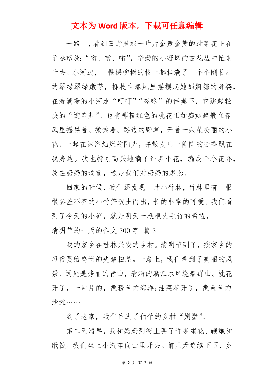 清明节的一天的作文300字.docx_第2页