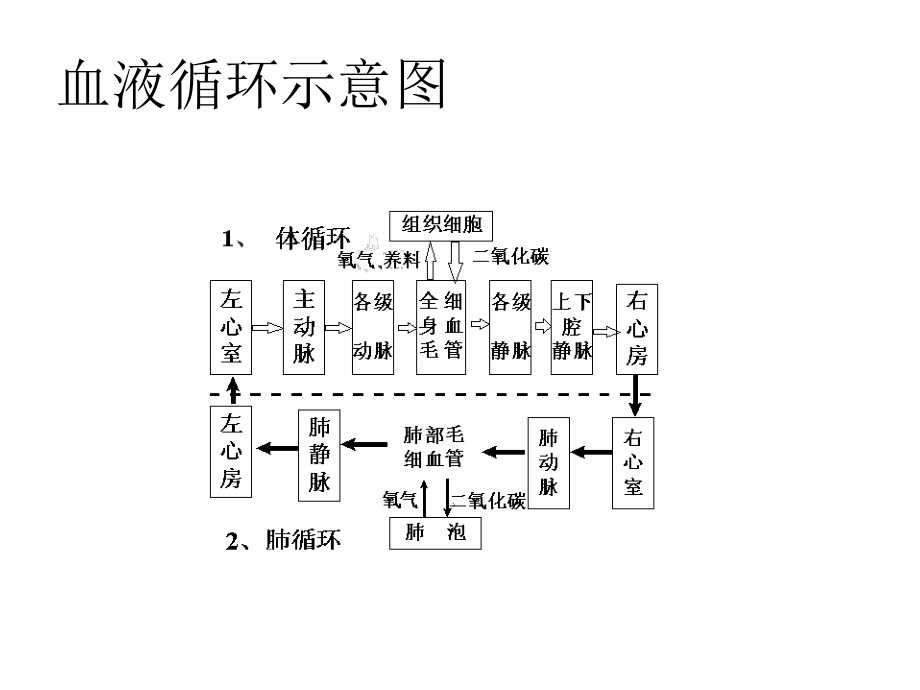 血液循环示意图ppt课件.ppt_第2页