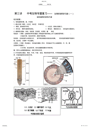 2022年中考生物专题复习生物的新陈代谢--绿色植物的新陈代谢 .pdf