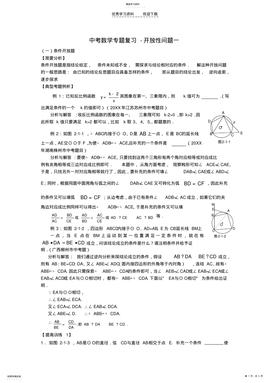 2022年中考数学专题复习-开放性问题一新课标 .pdf_第1页