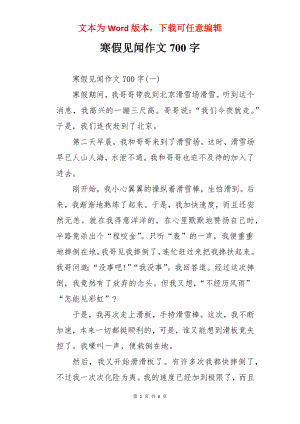 寒假见闻作文700字.docx