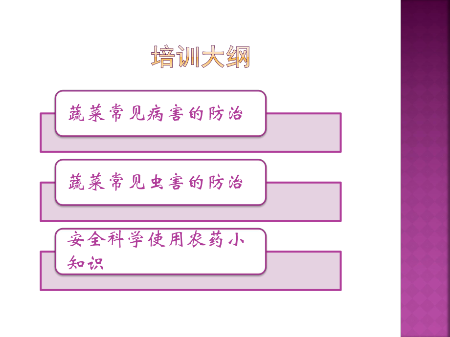 蔬菜常见病虫害防治ppt课件.pptx_第2页