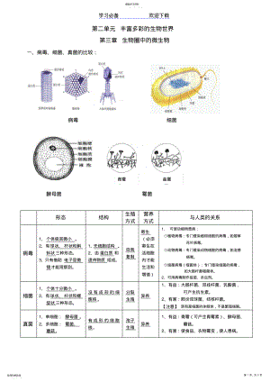 2022年济南版七年级上册生物第二单元丰富多彩的生物世界第三章生物圈中的微生物第四章生物的分类复习知识点 .pdf