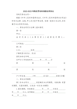 2022-2023导购员劳动标准版合同协议_1.docx