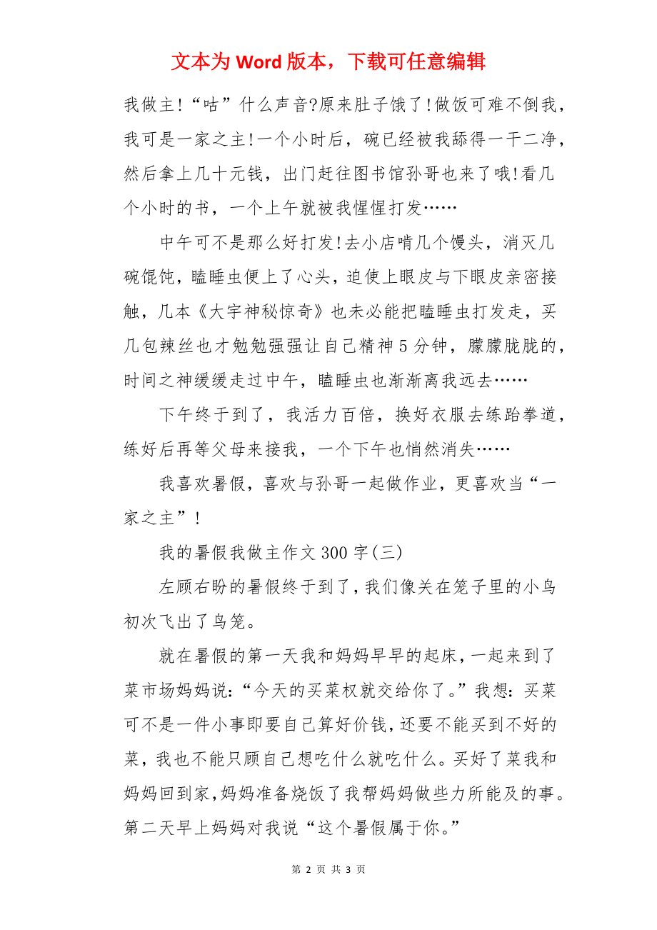 我的暑假我做主作文300字.docx_第2页