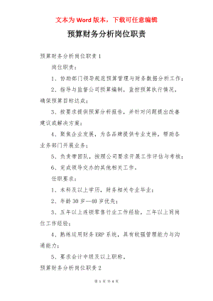 预算财务分析岗位职责.docx