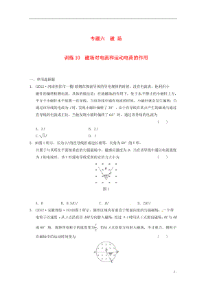 2021届高考物理 考前专题训练10 磁场对电流和运动电荷的作用.doc