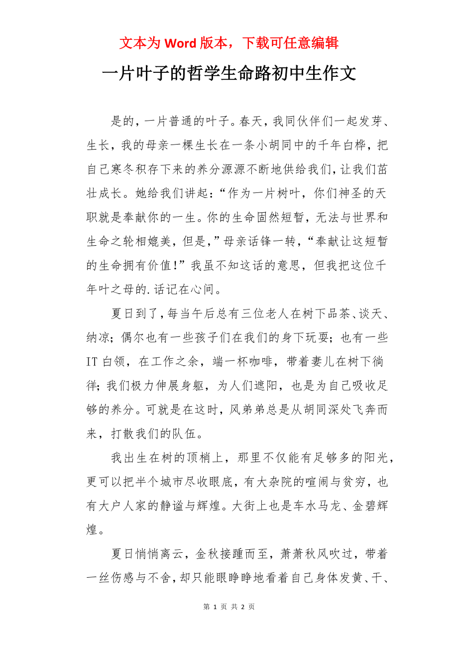 一片叶子的哲学生命路初中生作文.docx_第1页