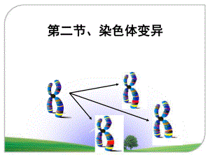 染色体变异(获奖课件)--优质课ppt.ppt