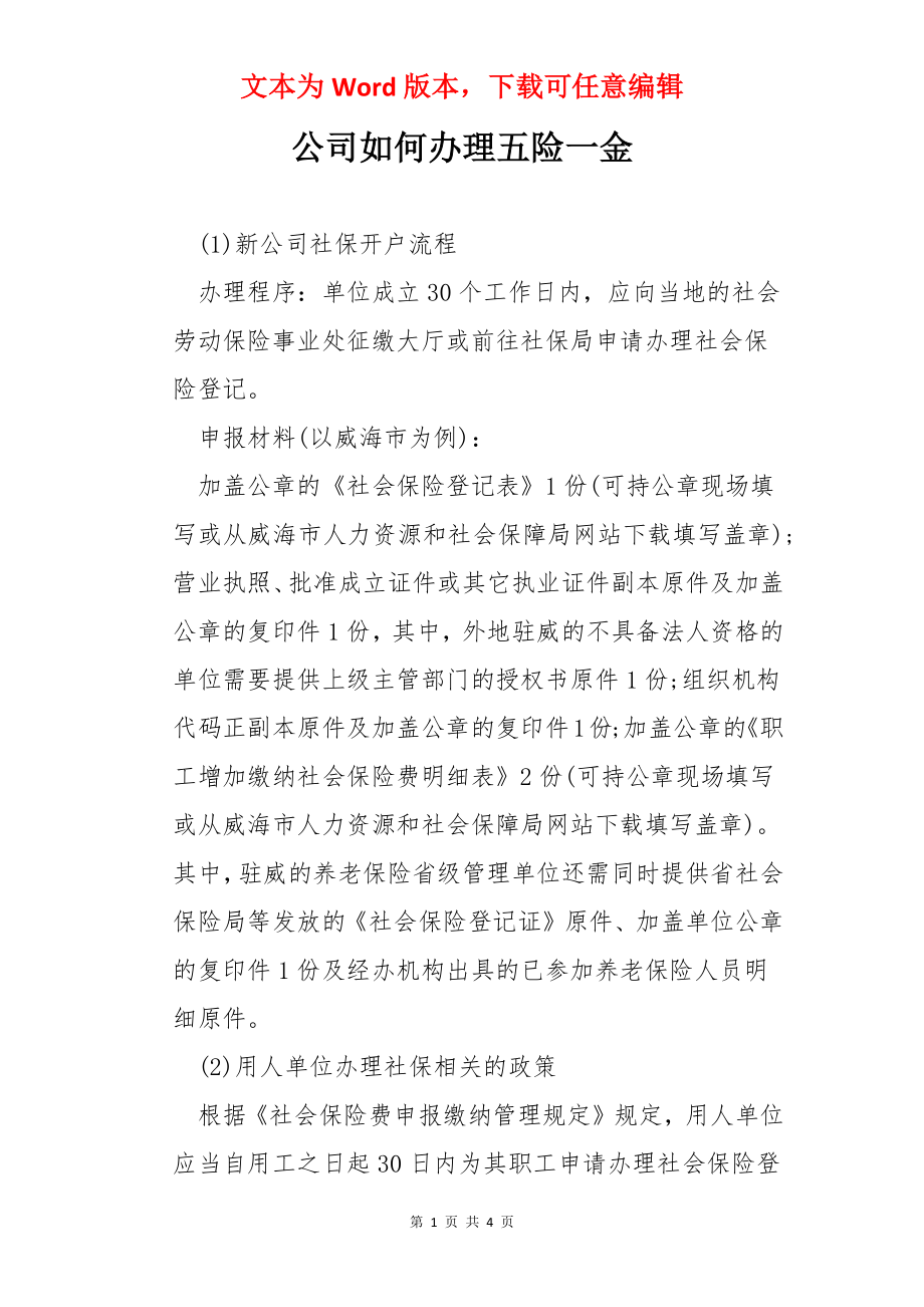 公司如何办理五险一金.docx_第1页