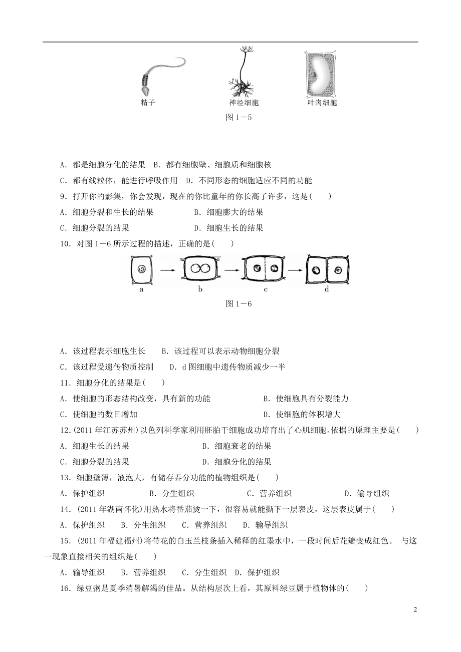 2021届中考生物 备考训练 速提升 第1章 生物体的结构层次 .doc_第2页