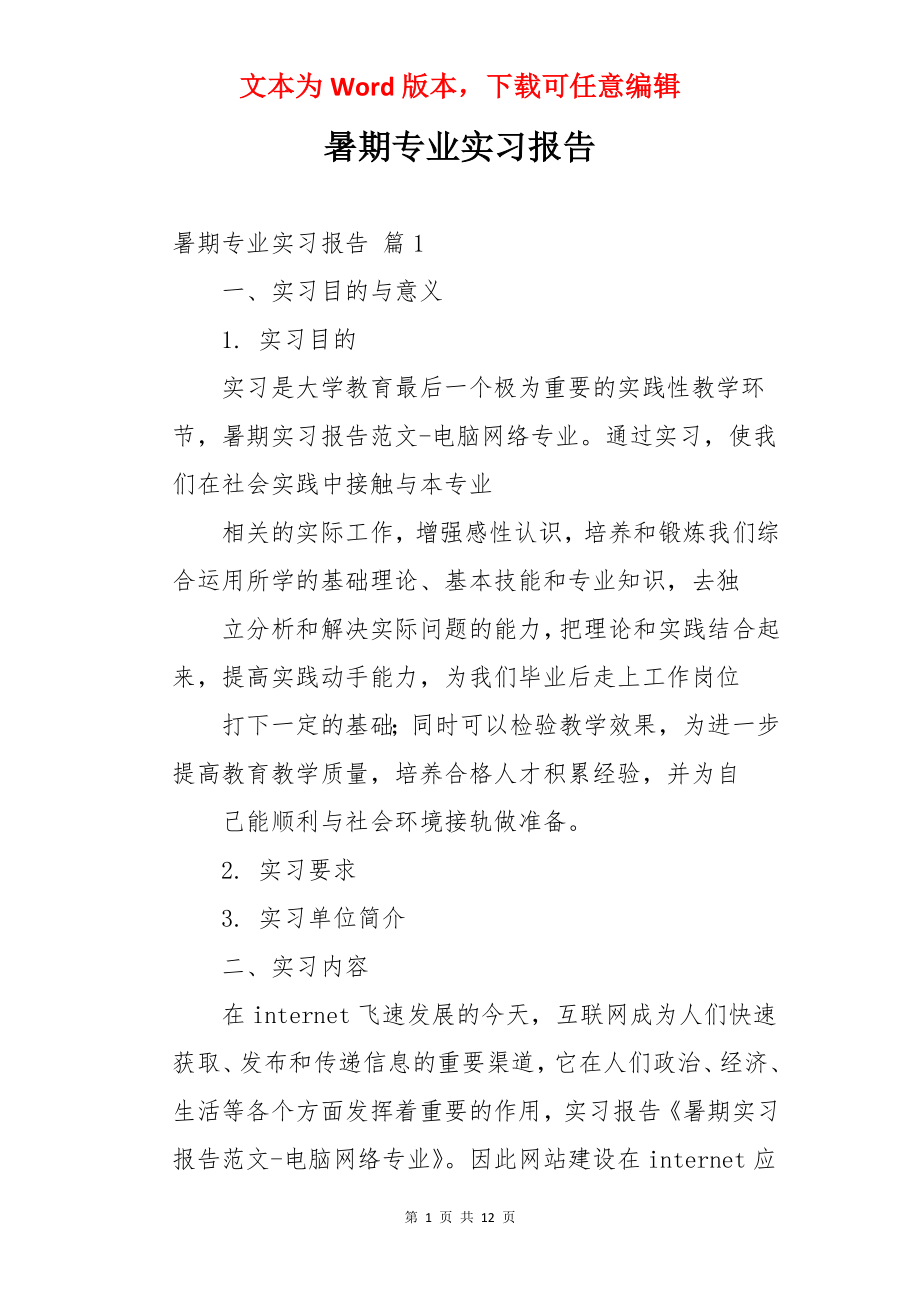 暑期专业实习报告.docx_第1页