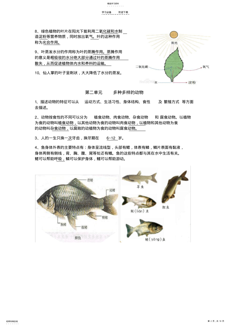 2022年湘教版四年级科学上册复习资料 .pdf_第2页