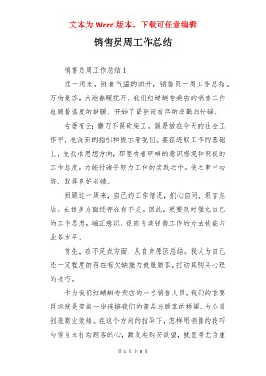 销售员周工作总结.docx