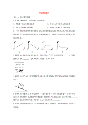 2021中考物理复习专项练习浮力与升力含解析.doc