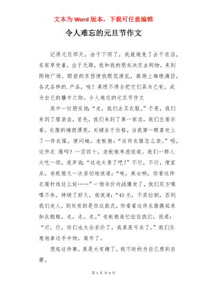 令人难忘的元旦节作文.docx