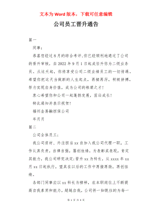 公司员工晋升通告.docx