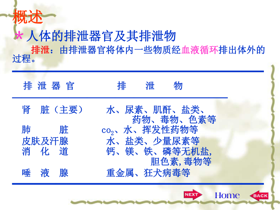 生理学尿的生成ppt课件.ppt_第2页