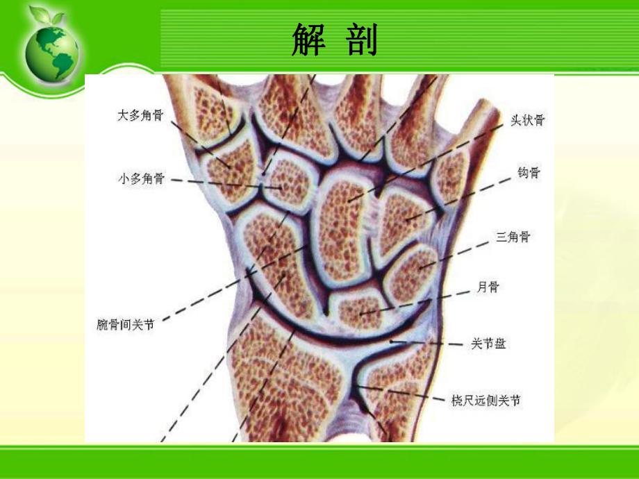 腕关节骨折ppt课件.ppt_第2页